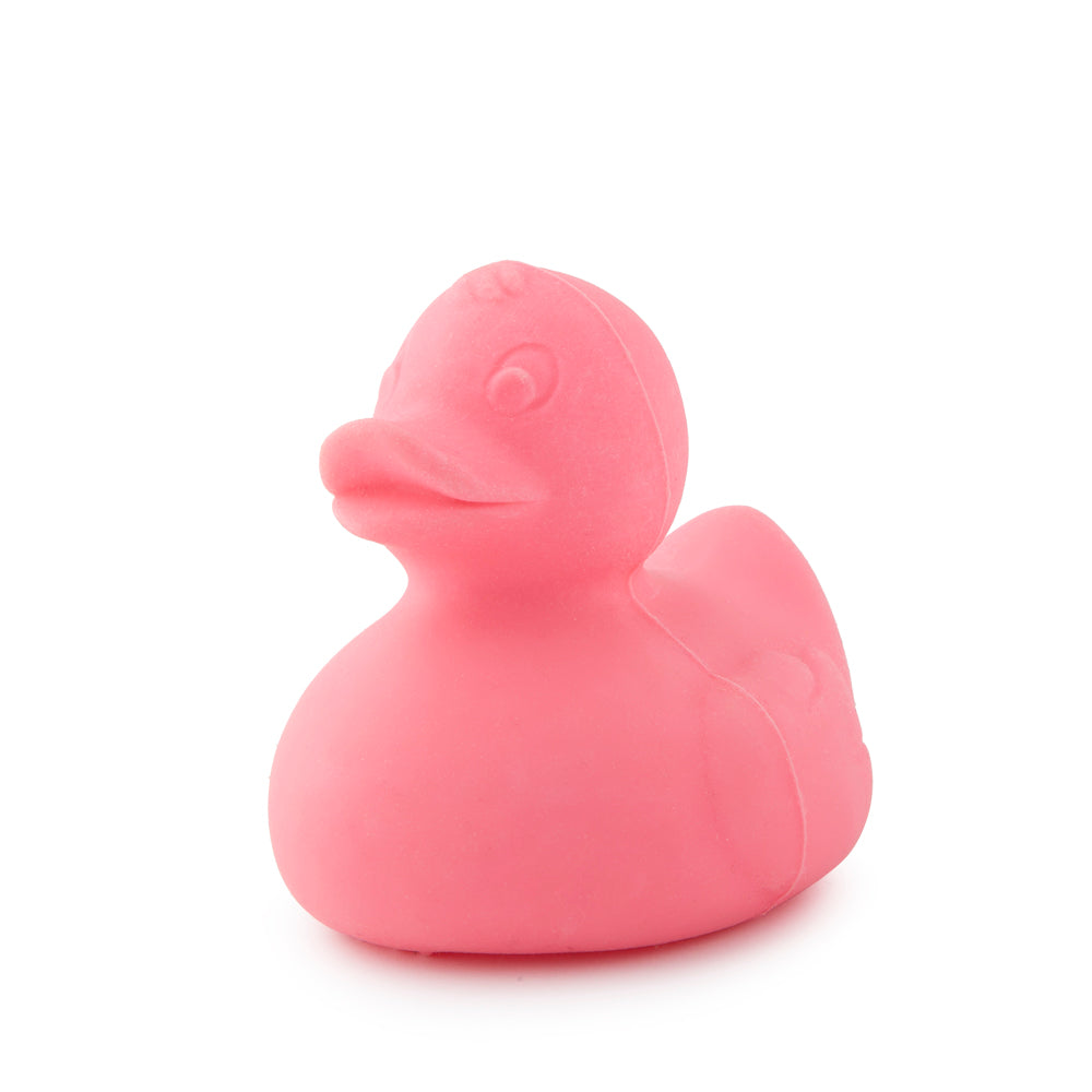 Oli & Carol | Elvis the Duck