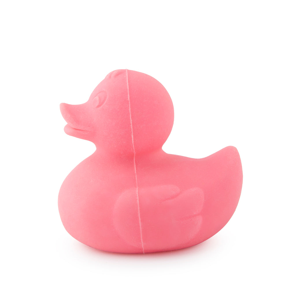 Oli & Carol | Elvis the Duck