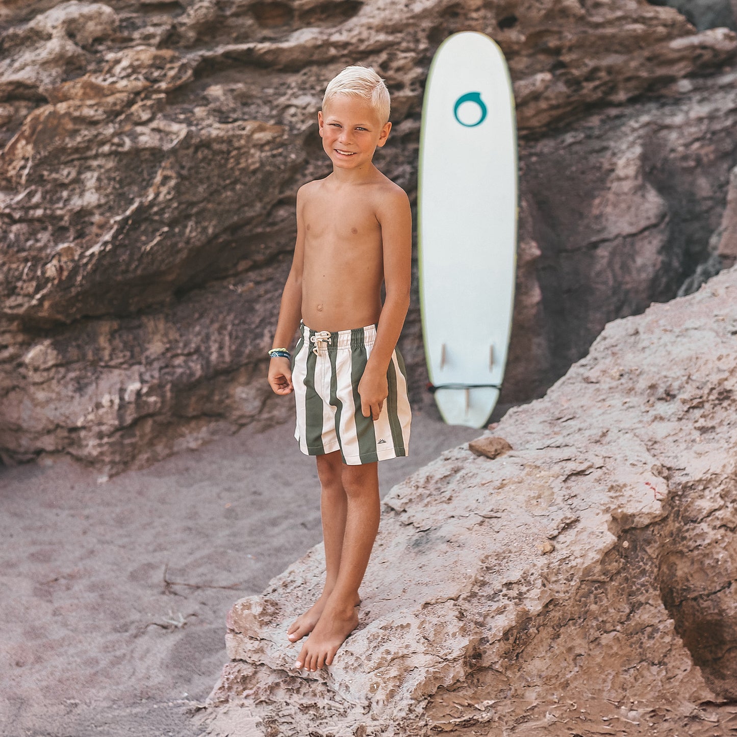 Wide Stripe | Swim Shorts