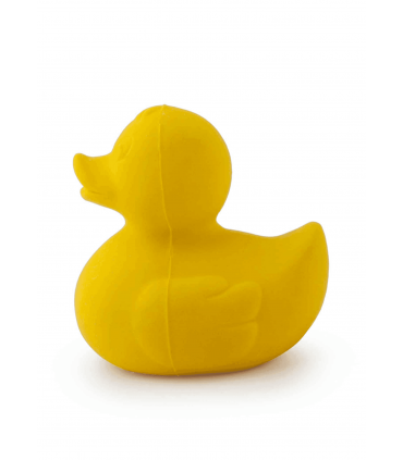 Oli & Carol | Elvis the Duck