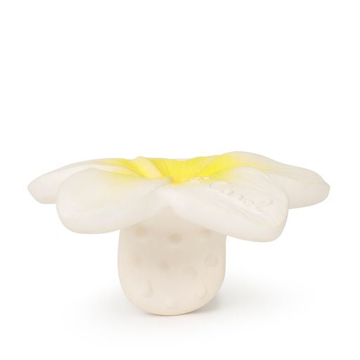 Oli & Carol | Hawaï Flower