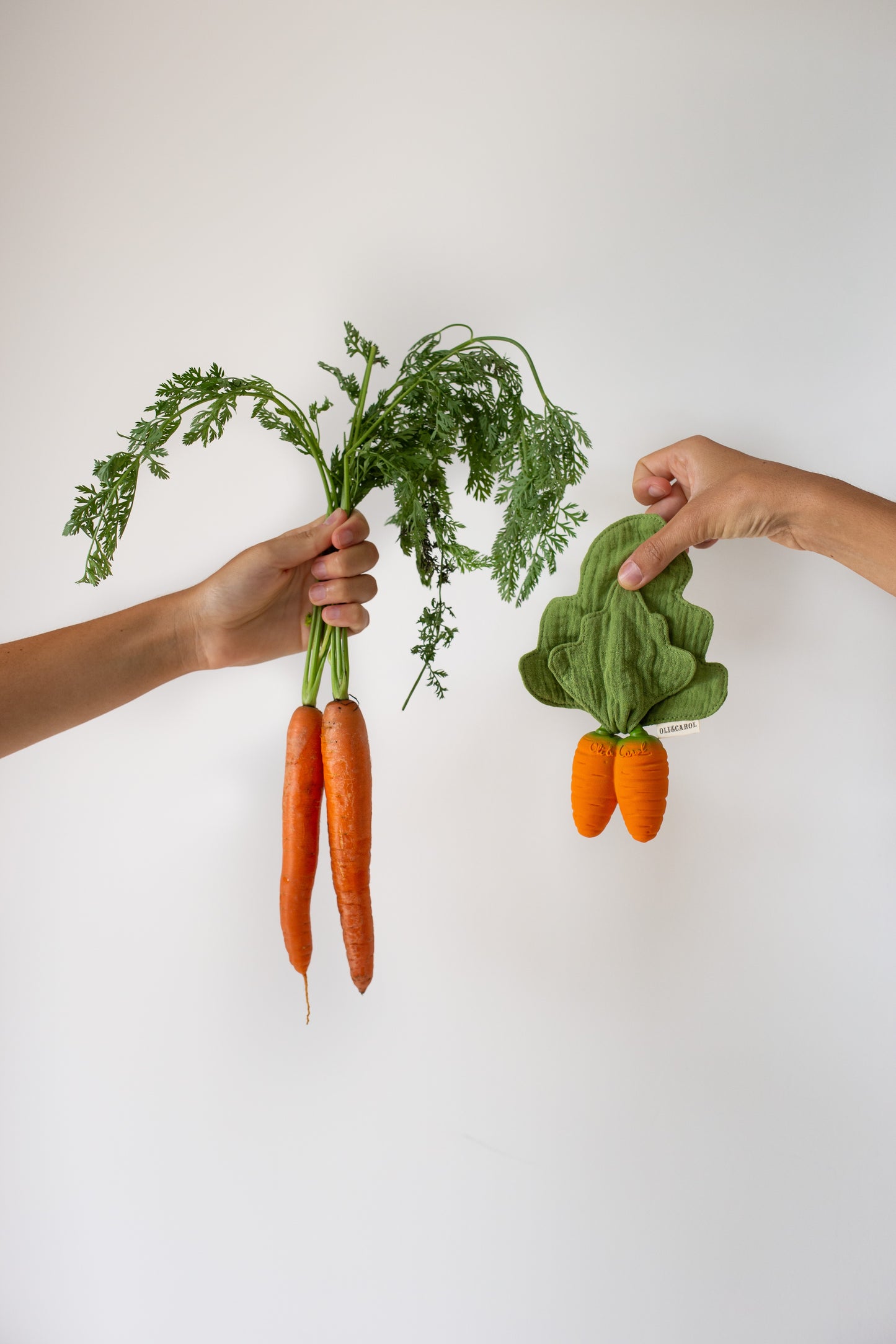 Oli & Carol | 2-in-1 Cathy the Carrot