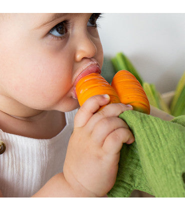 Oli & Carol | 2-in-1 Cathy the Carrot