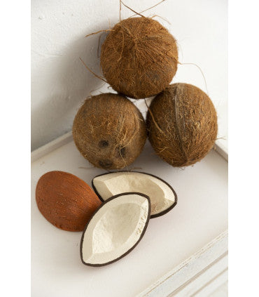 Oli & Carol | Coco the Coconut