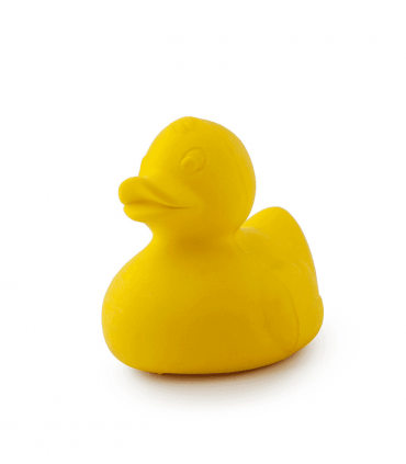 Oli & Carol  | Elvis the Duck